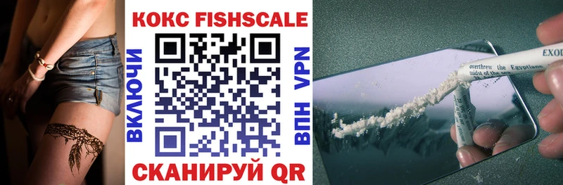 Купить закладки  Грязи  Cocaine Fish Scale 