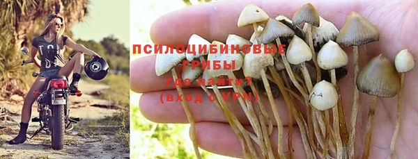 apvp Зеленодольск