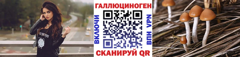 Купить  Грязи  Галлюциногенные грибы ЛСД 